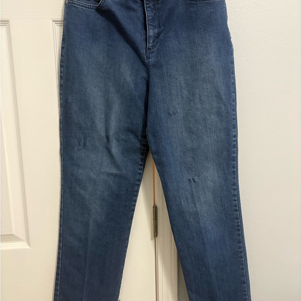 Gloria Vanderbilt Amanda Jeans in Rich Indigo size 10 - all jeans 2/$20